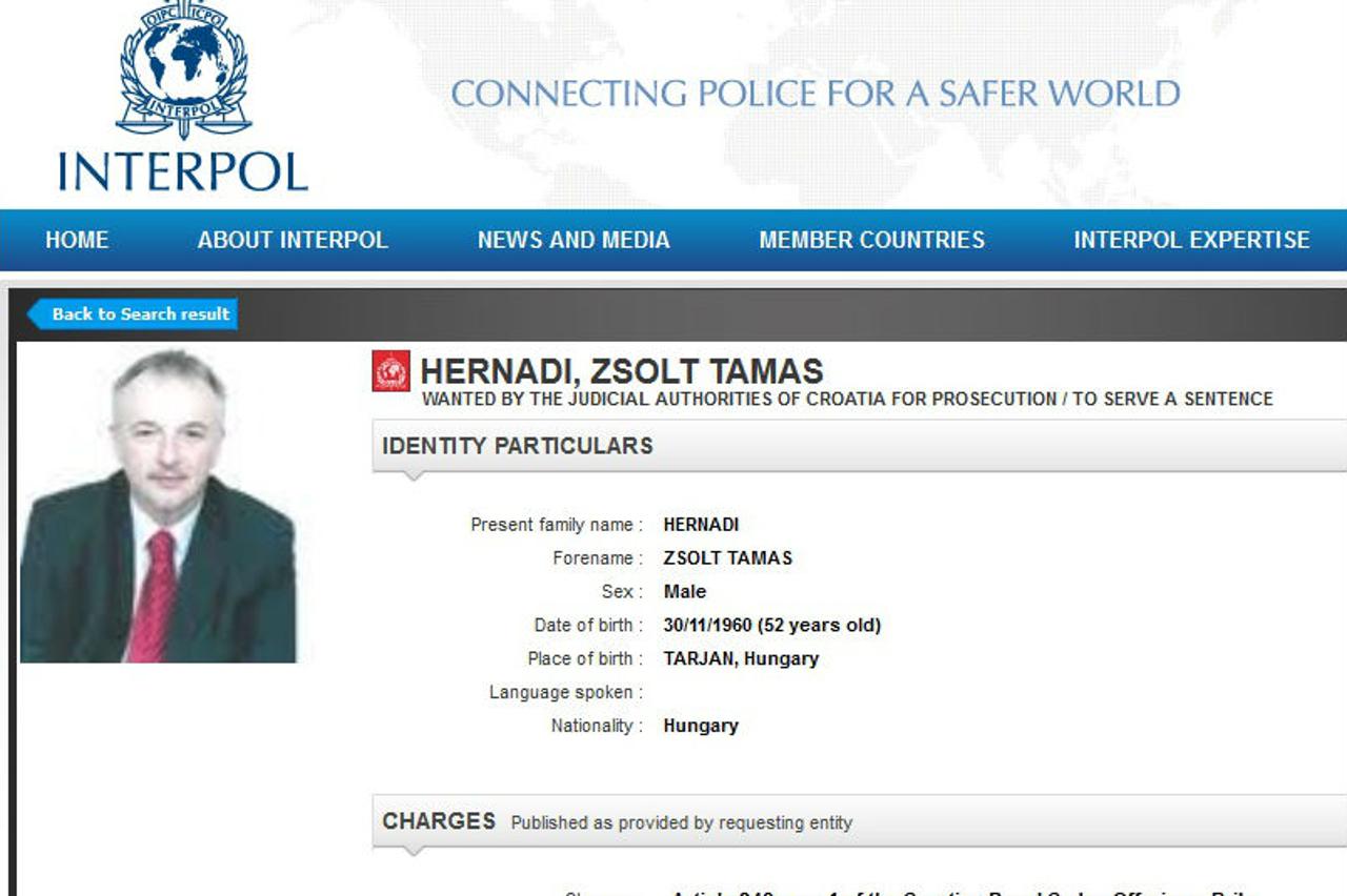 Zsolt Hernadi