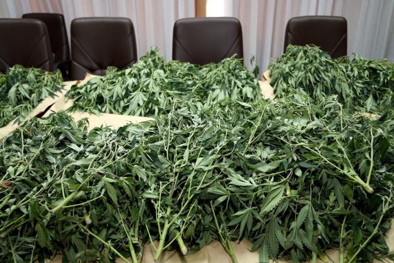 MArihuana