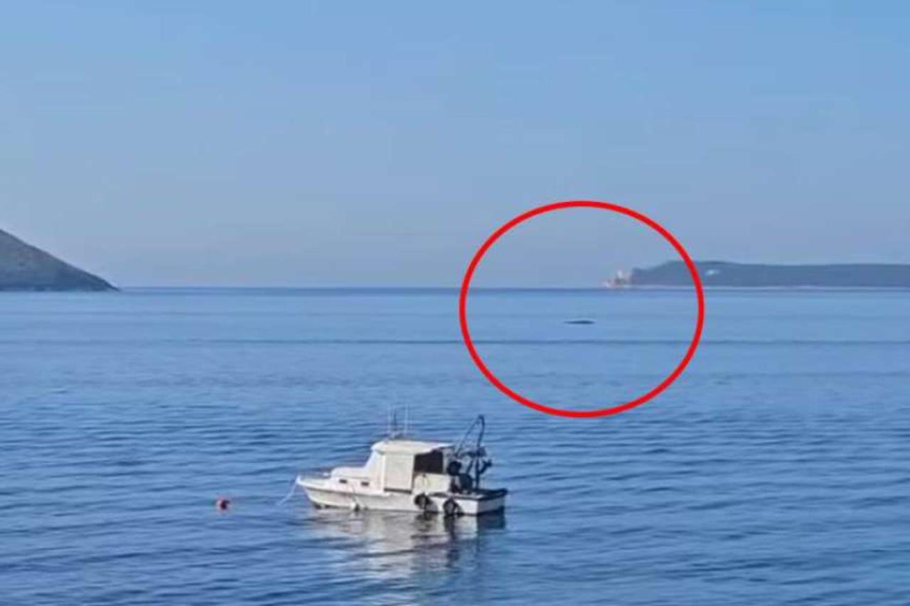 kit kod Bara u Crnoj Gori