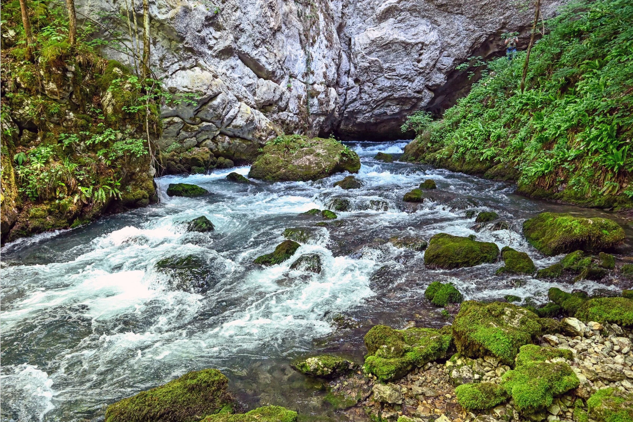 Rijeka Sana