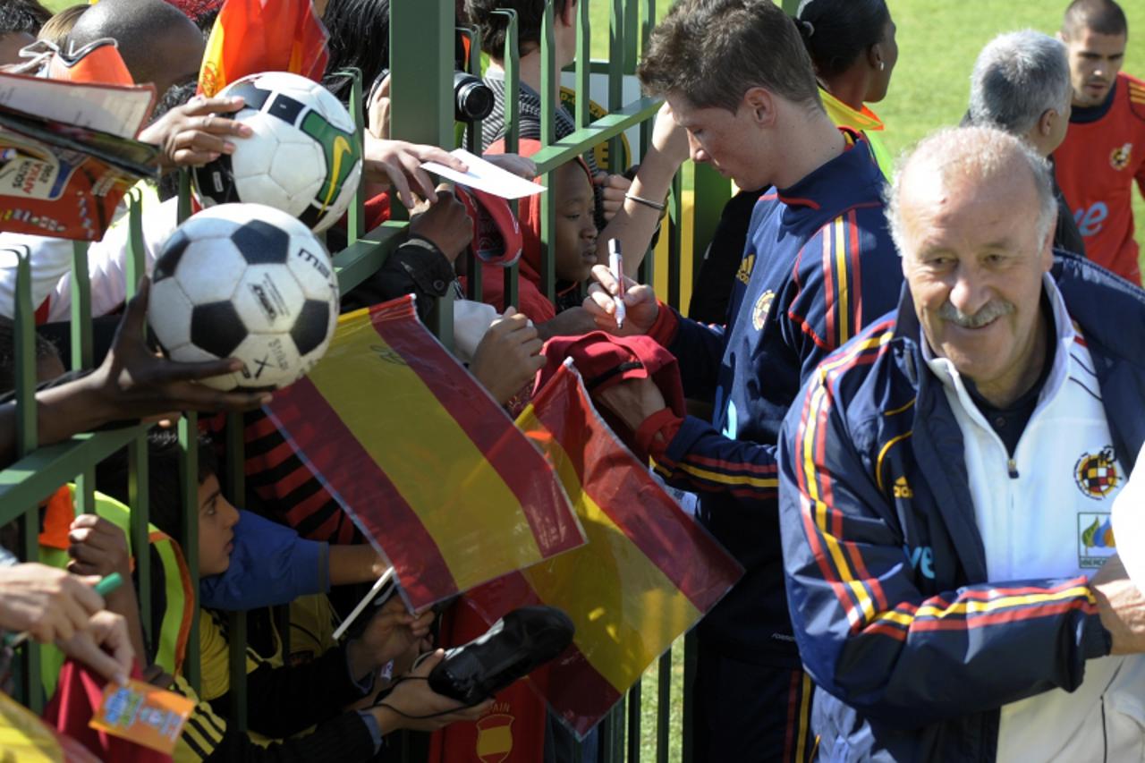 Fernando Torres Vicente Del Bosque