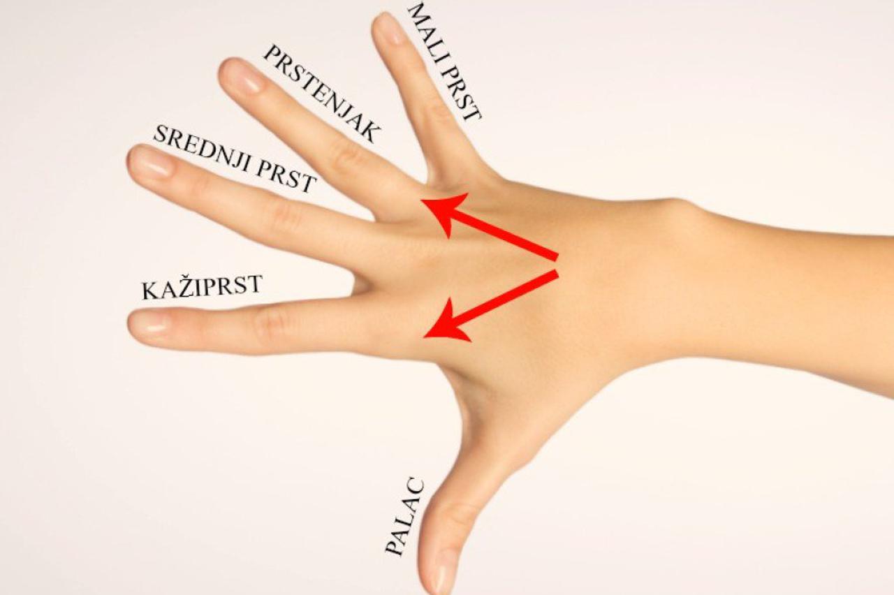 prsti
