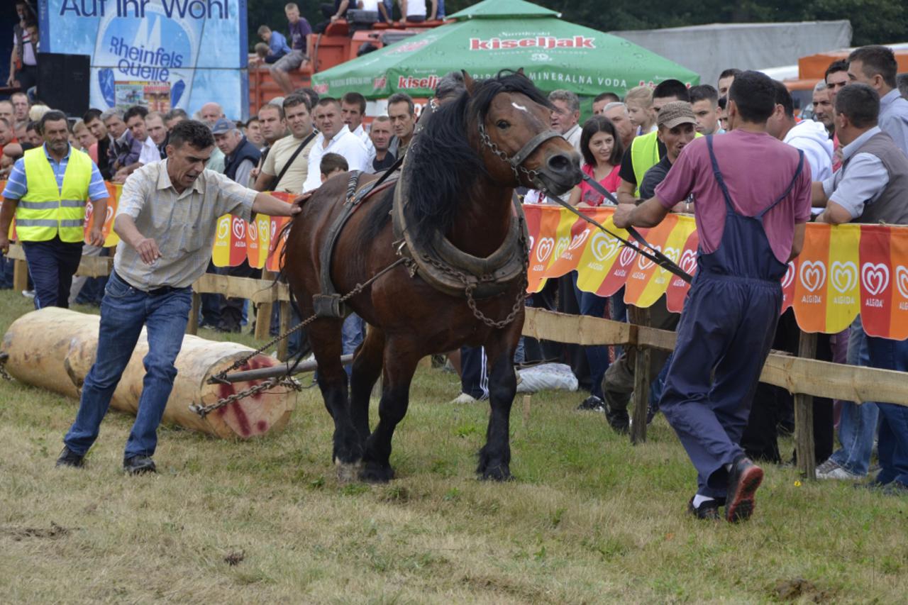 straparijada