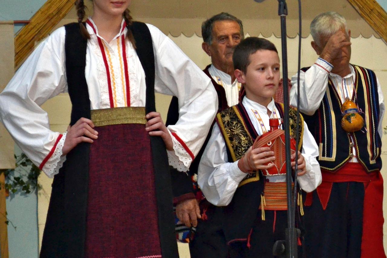 ruzicibjelovar_nnn_bih_02122015