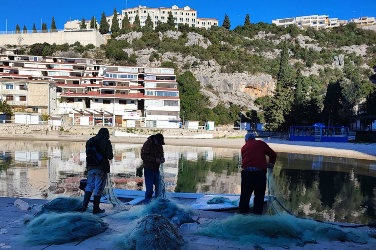 ribari Neum