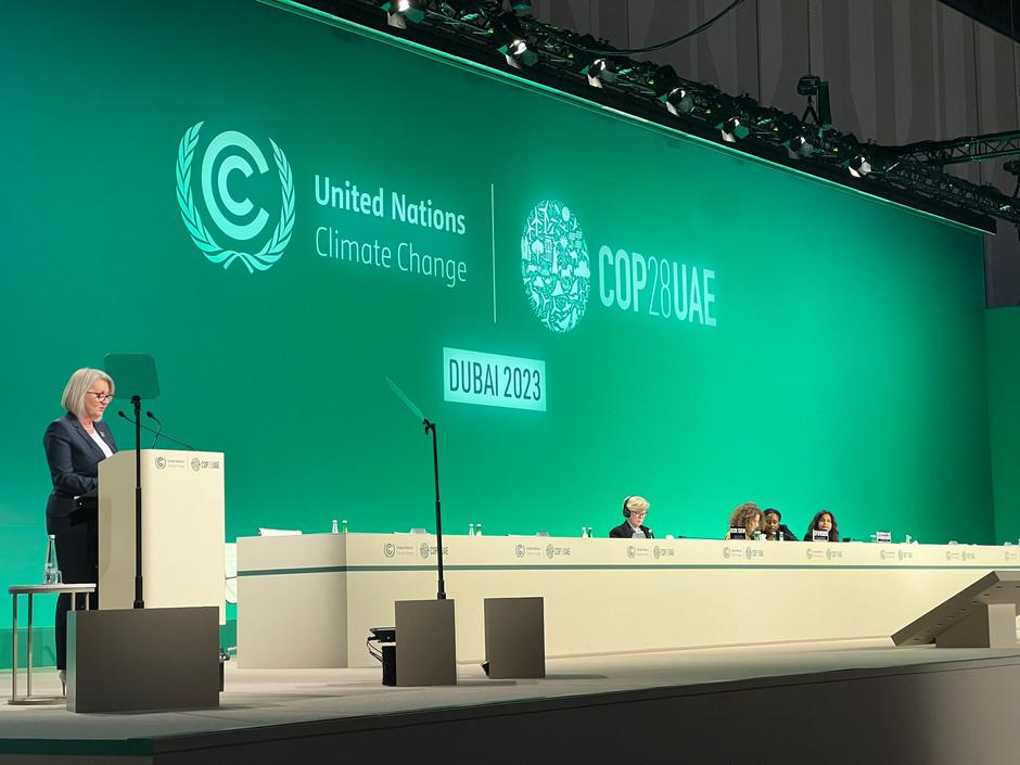 Borjana Krišto na konferenciji UN-a u Dubaiju