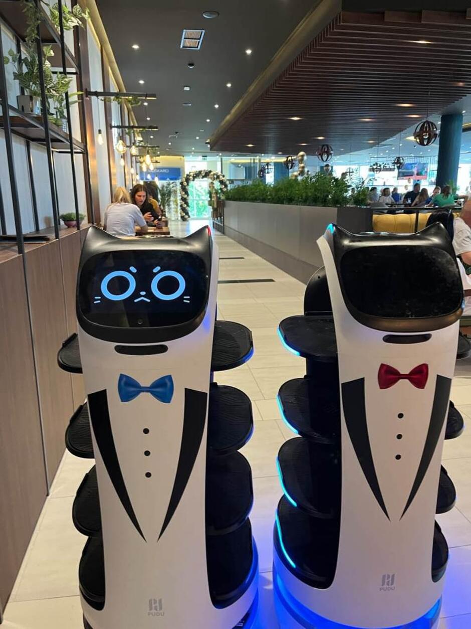 roboti konobari Derventa