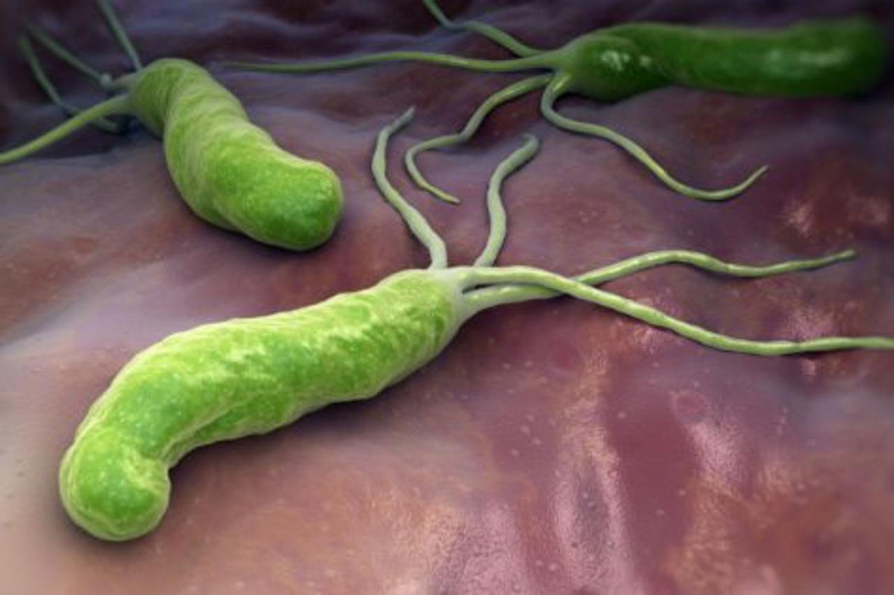 Ima je 65 posto ljudi