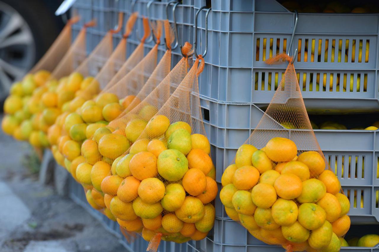 Mandarine