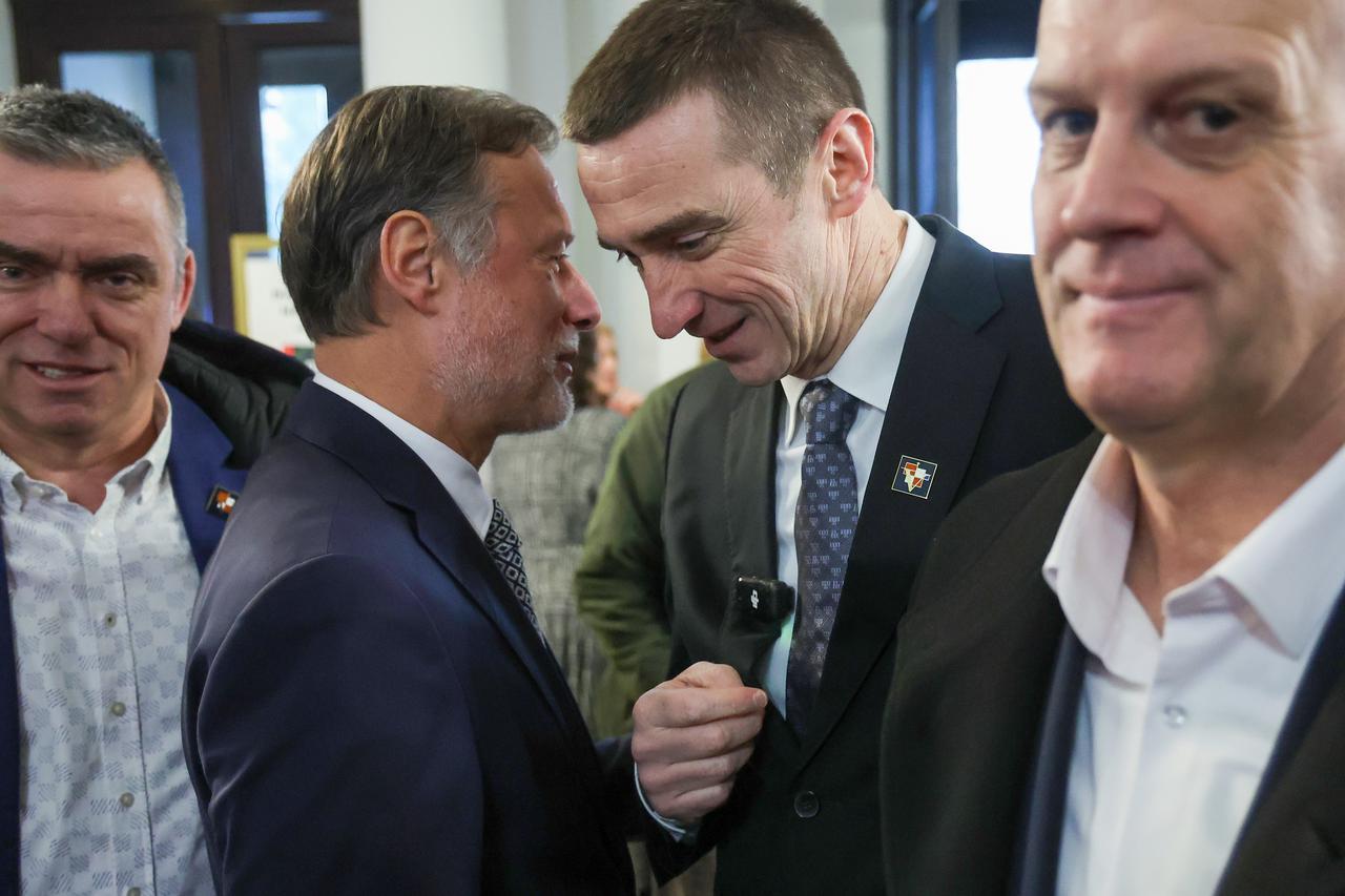 Domovinski pokret i rezolucija o Hrvatima u bih