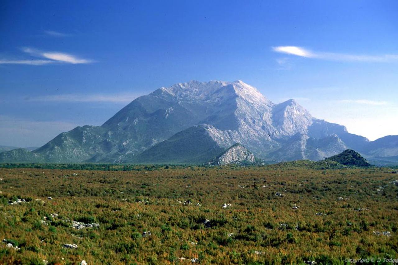 Biokovo