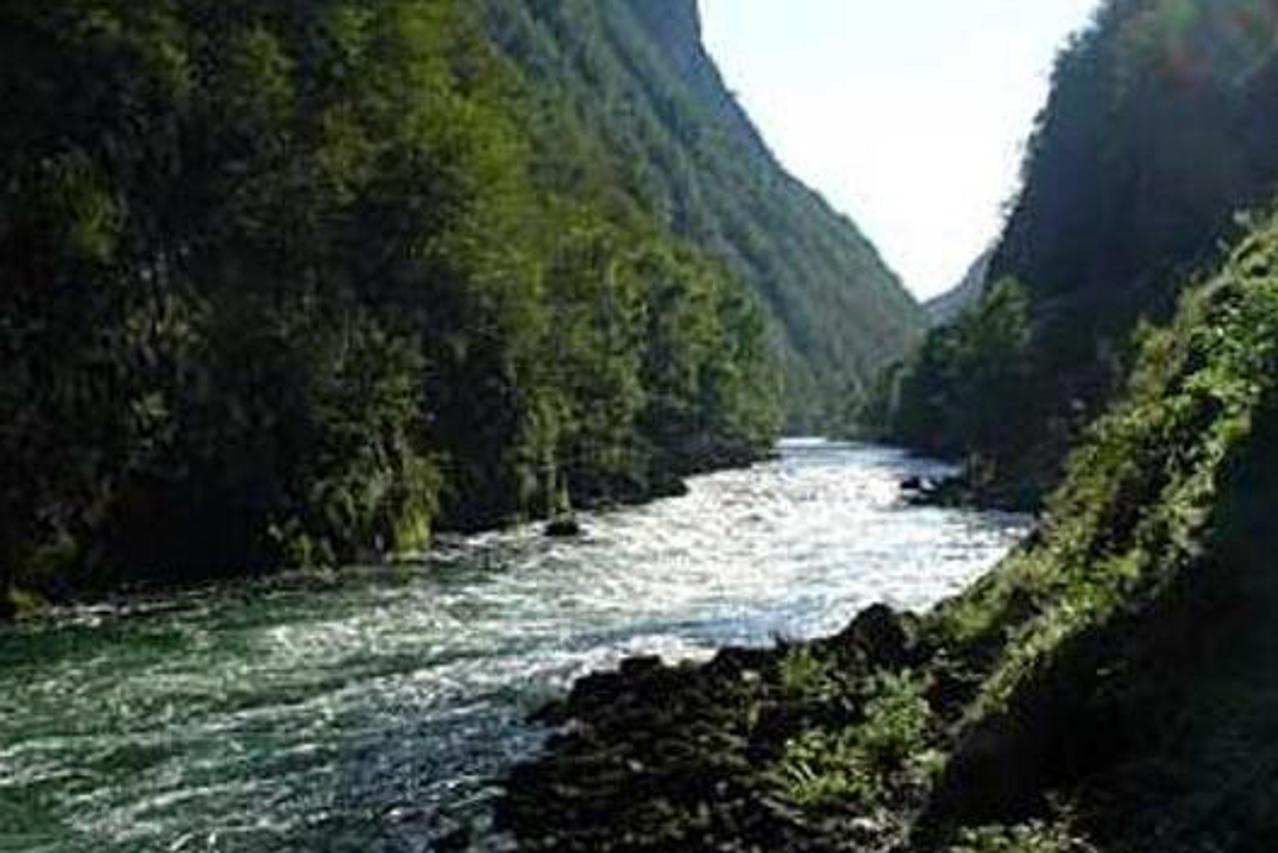 leš