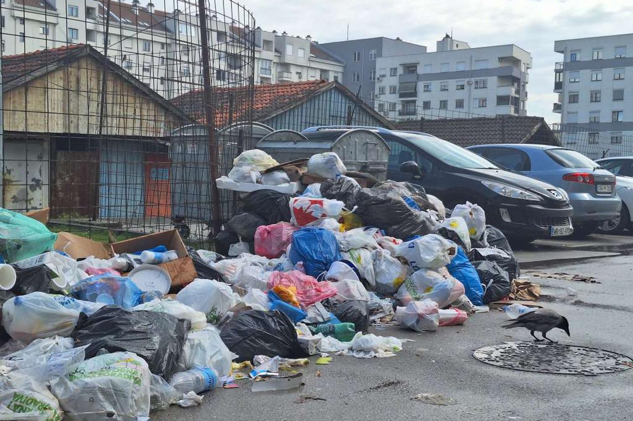 smeće, zaraza