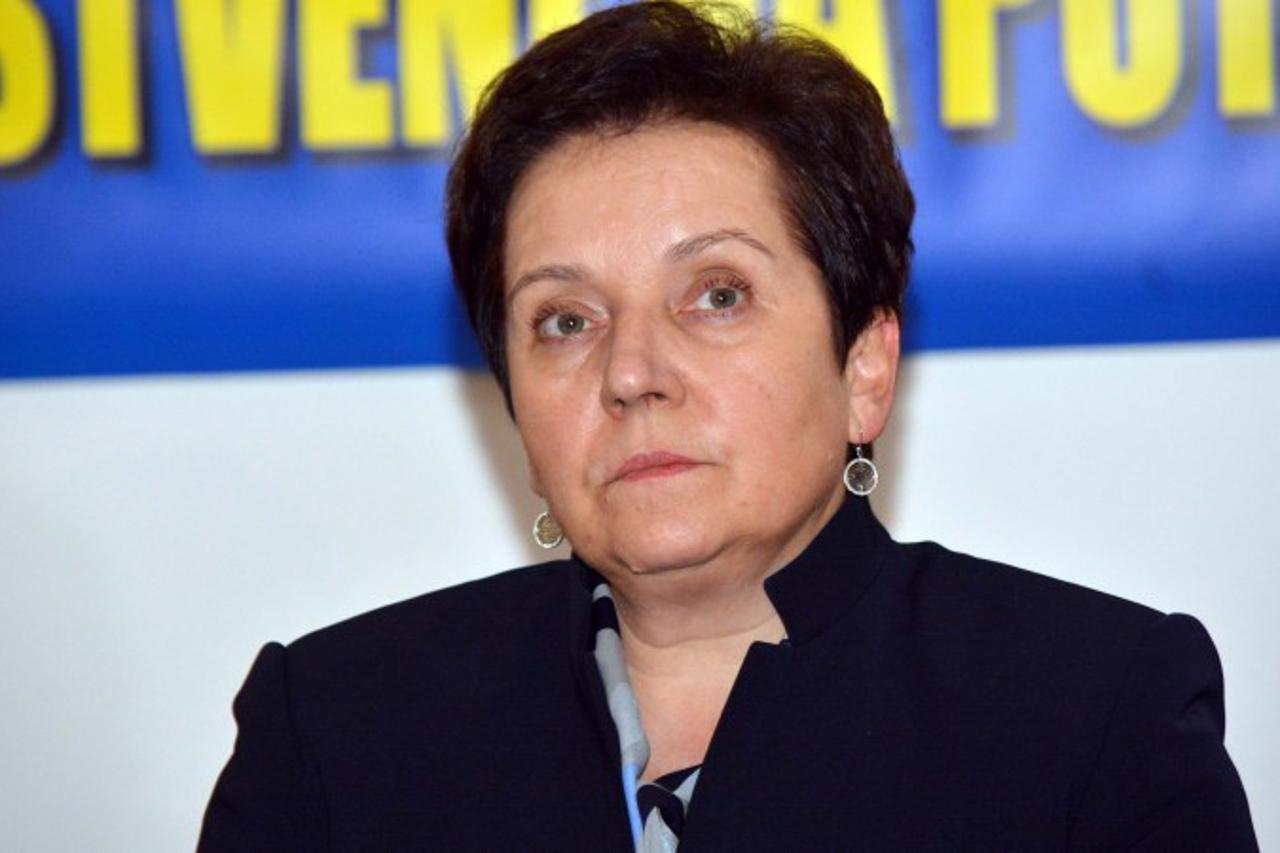 Ministrica obrane BiH