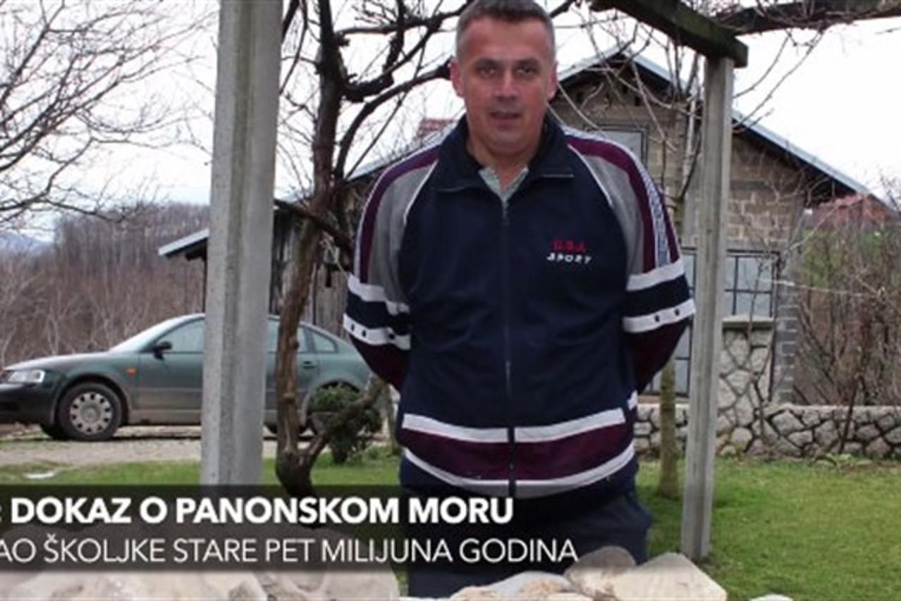 školjke