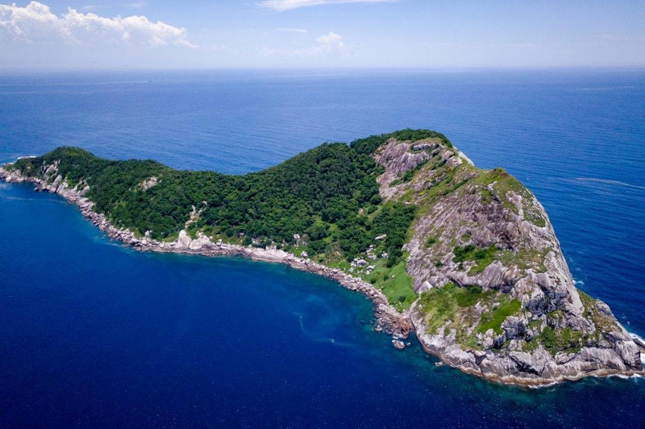 otok zmija