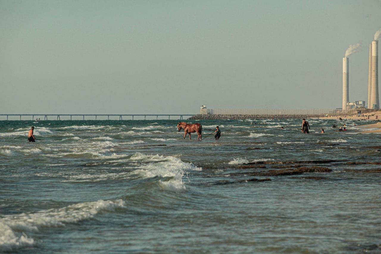 ocean