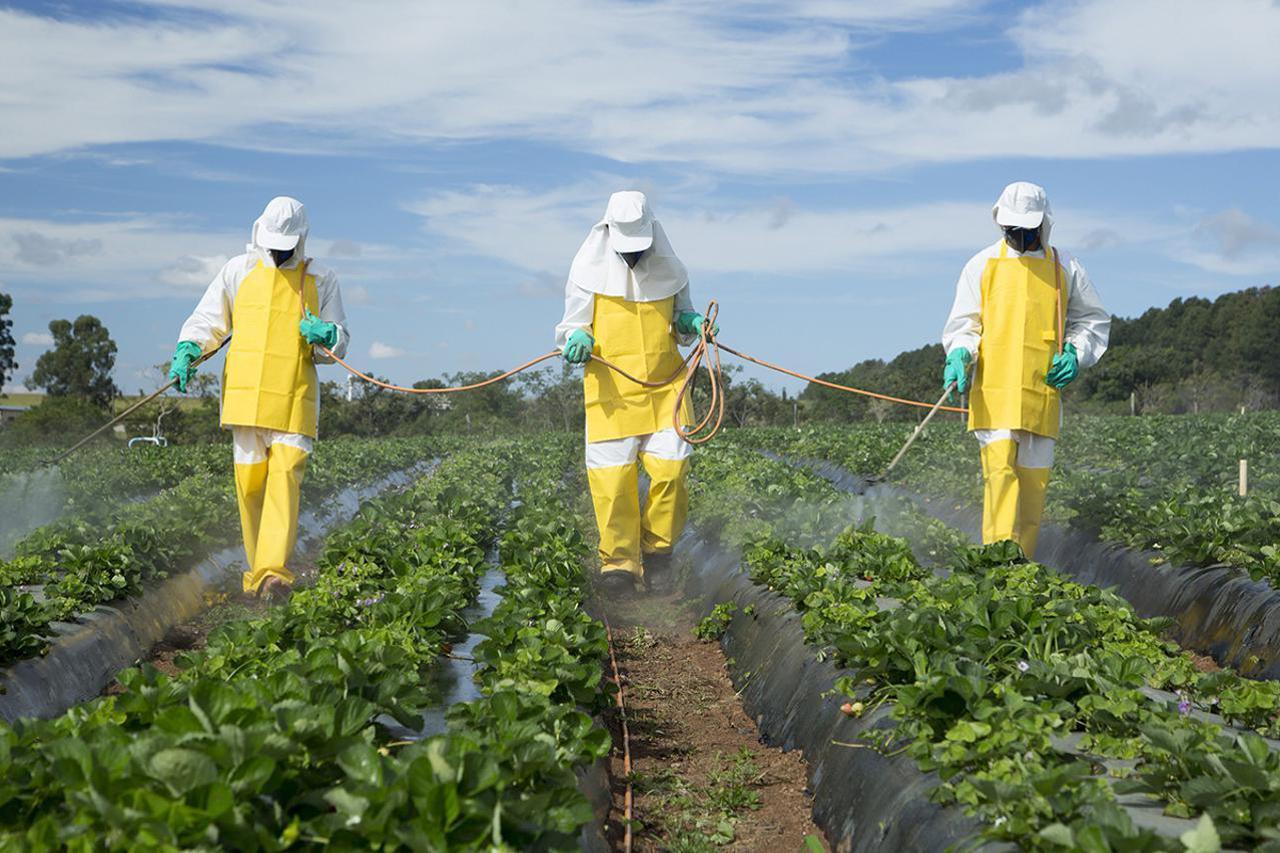 pesticidu