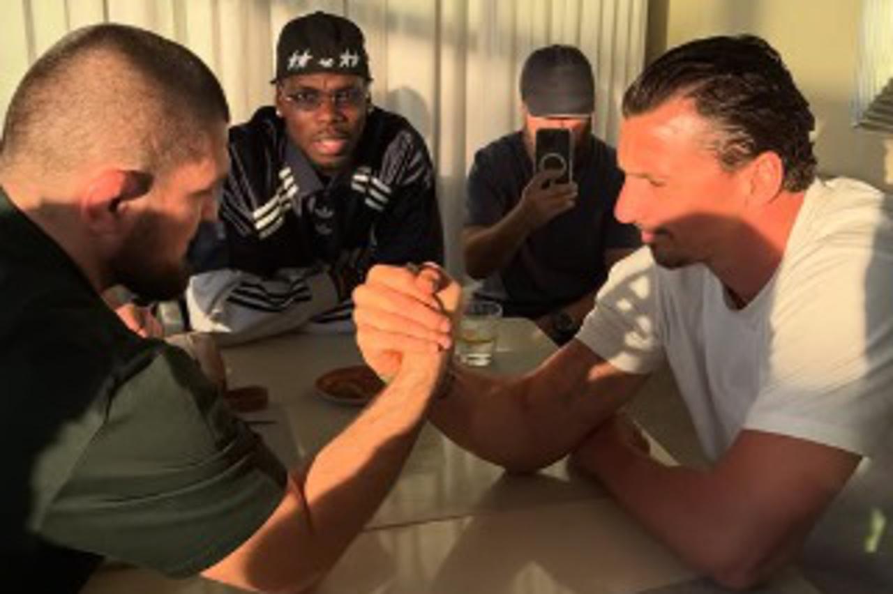 Ibra i habib
