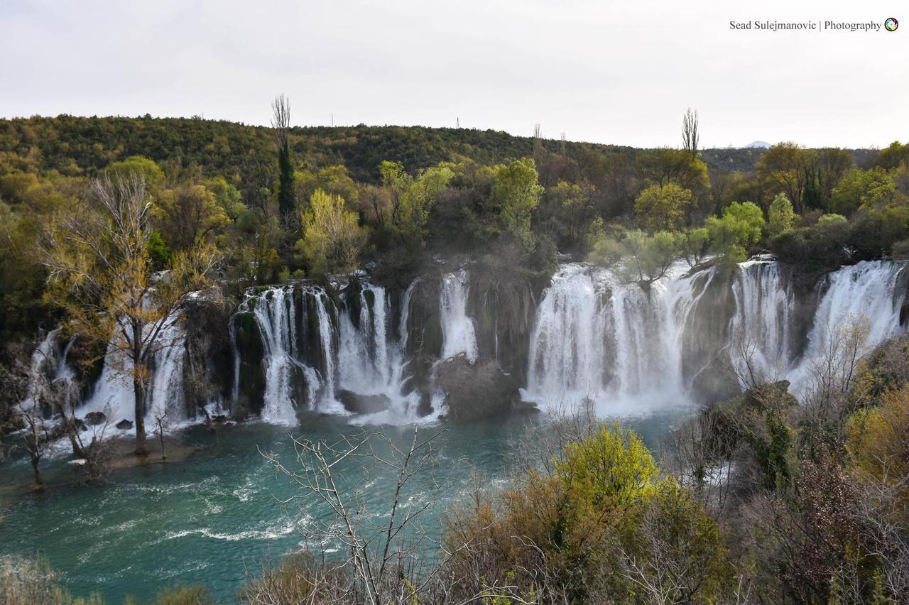 Sead Sulejmanovic foto