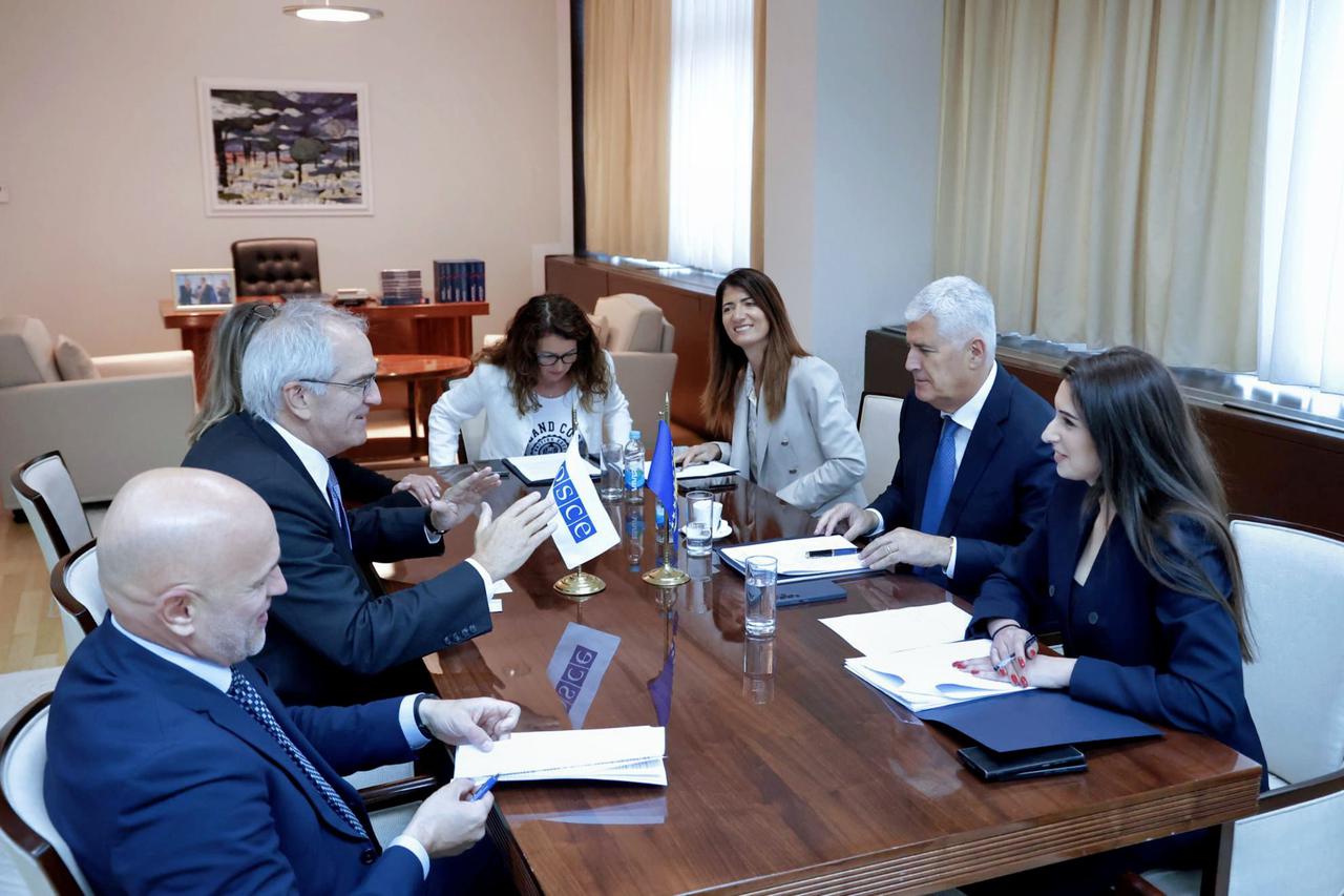 Čović i Holtzapple