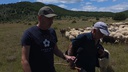 VIDEO / Boro Pinjuh već 35 godina čuva stotine ovaca na Blidinju: “Čoban danas vrijedi suho zlato” VIDEO / Boro Pinjuh već 35 godina čuva stotine ovaca na Blidinju: “Čoban danas vrijedi suho zlato”