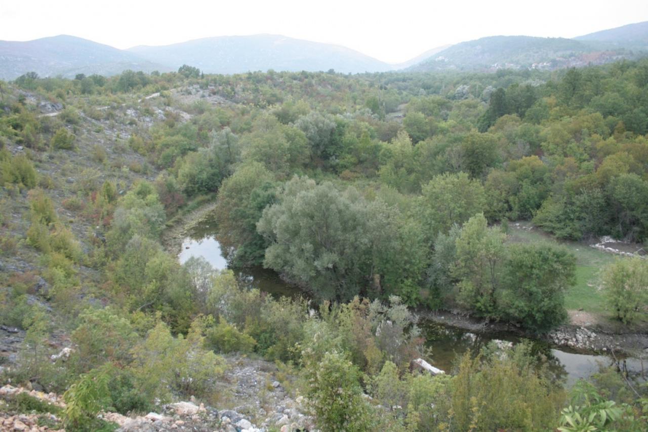 Tihaljina