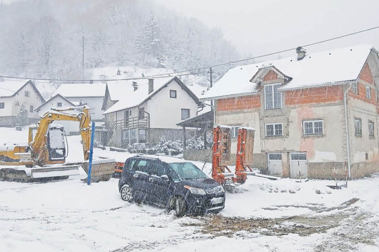 Deževice u snijegu