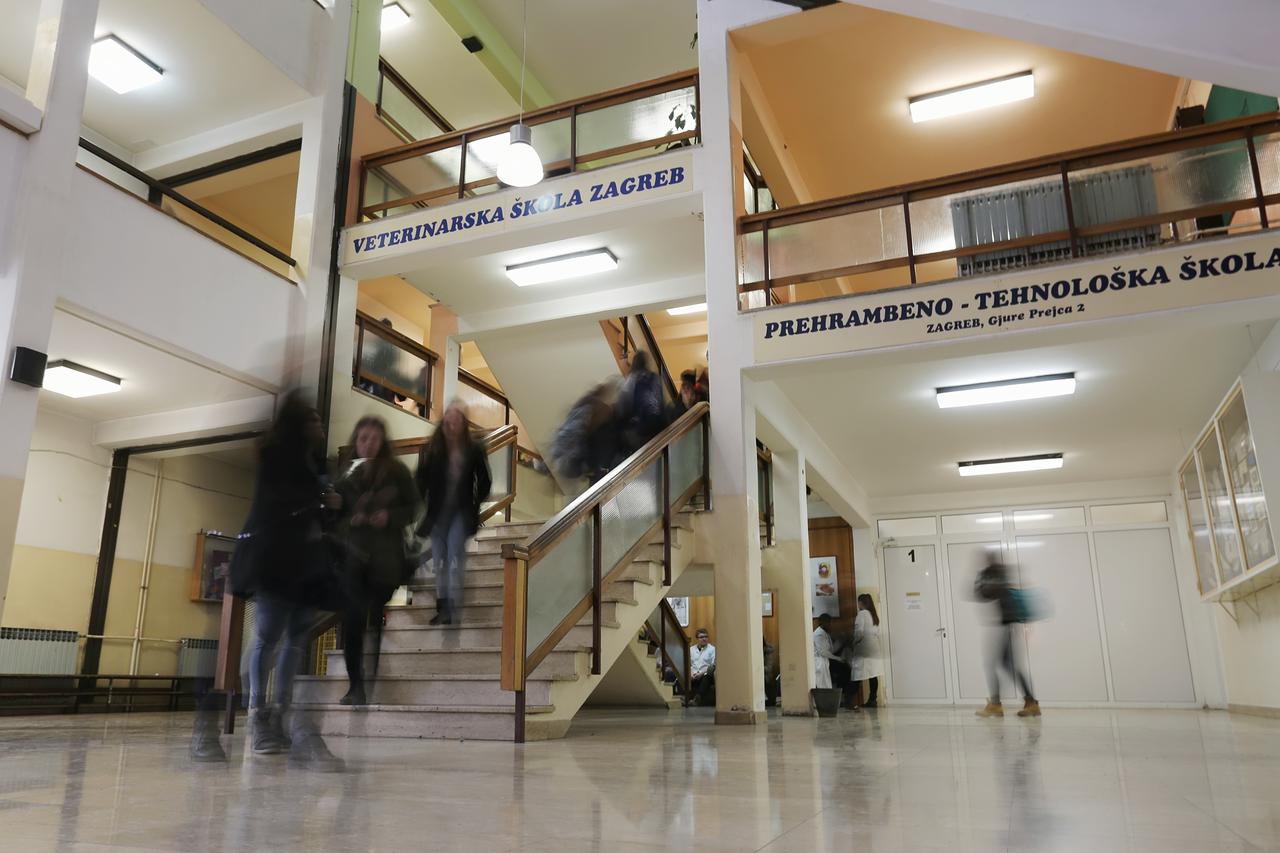 29.01.2015., Zagreb - Skolska zgrada ulici Gjure Prejca, u kojoj rade cetiri srednje skole, Prehranbeno - tehnoloska, Veterinarska, Poljoprivredna i XII gimnazija. Photo: Tomislav Miletic/PIXSELL