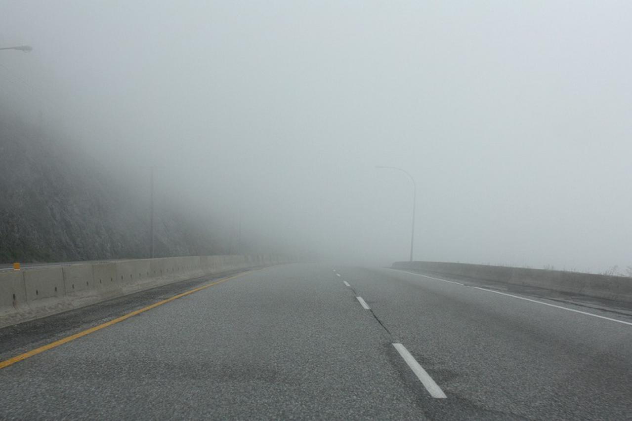 cesta magla