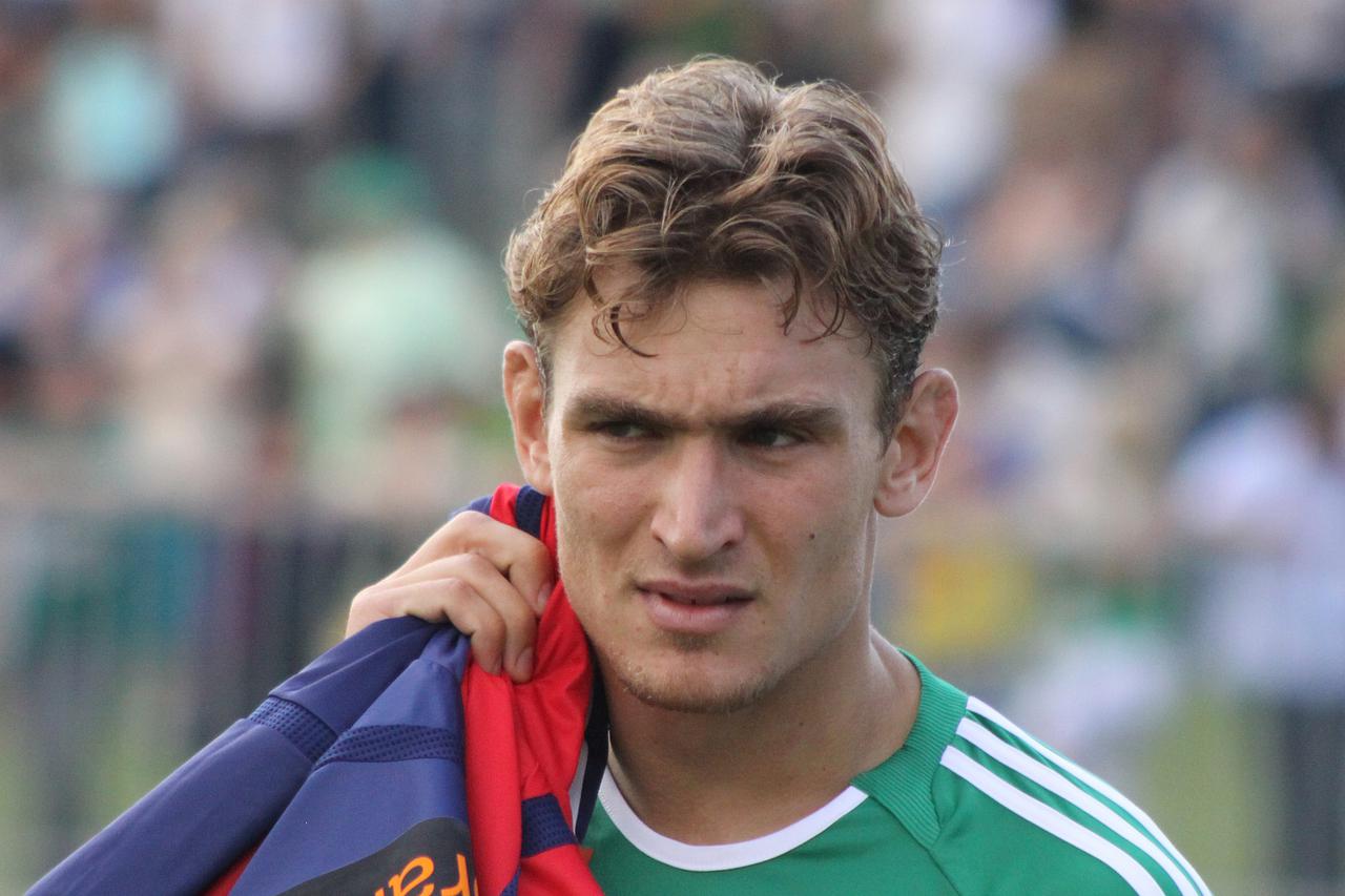 jelavic