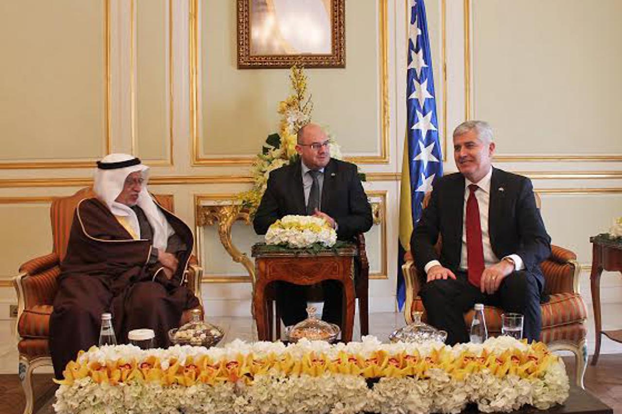 covic u saudijskoj arabiji