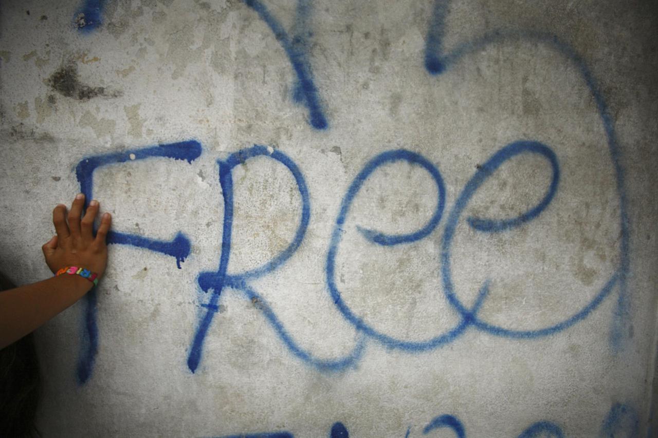 Free Tibet (1)
