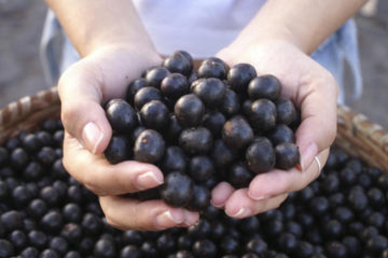 Acai bobice