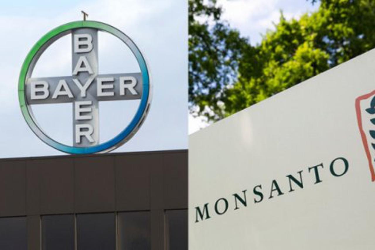 Bayer 