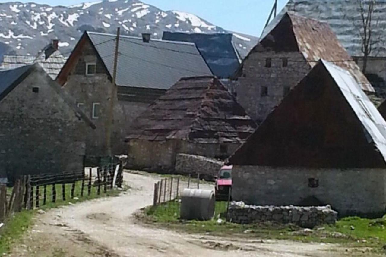 oživio