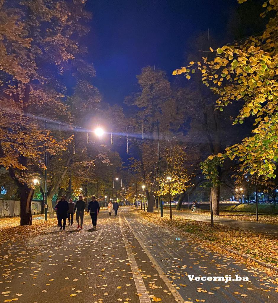 Vilsonovo