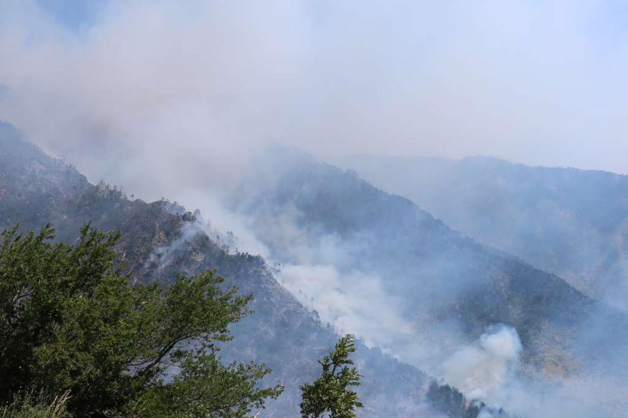 Požar u kanjonu Rakitnice kod Konjica