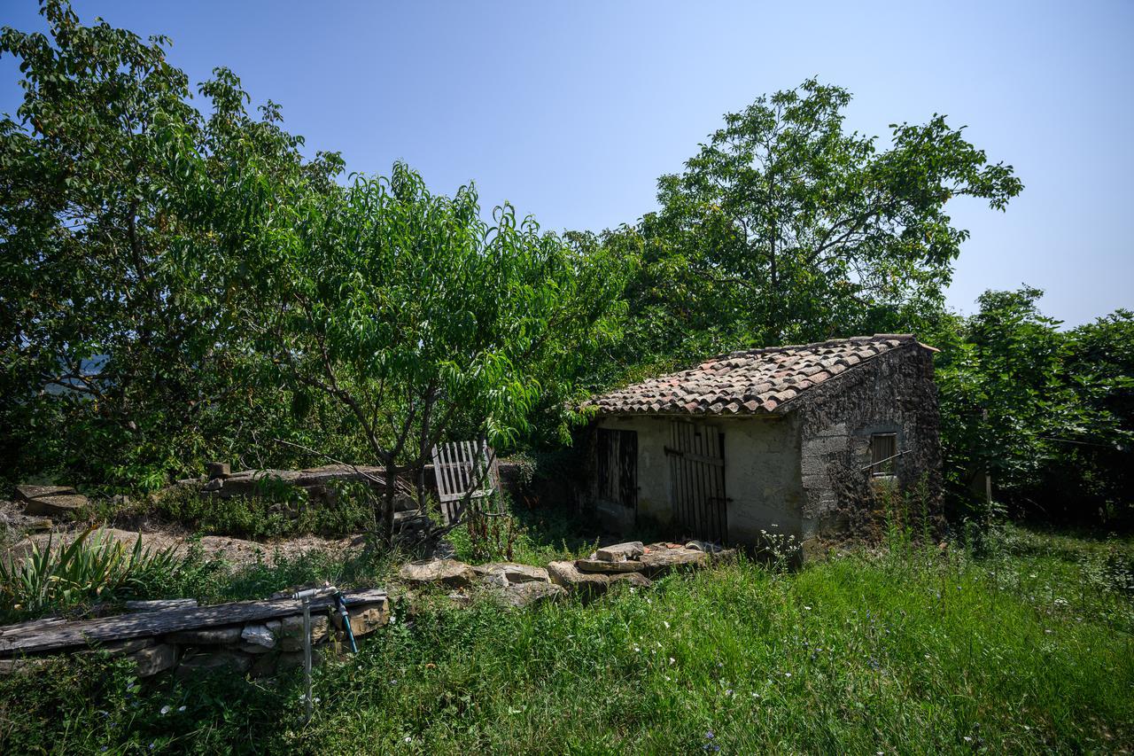 selo Gržini