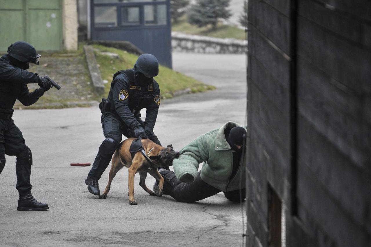 policijski psi