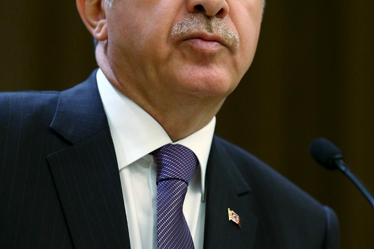 Turkish President Tayyip Erdogan makes a speech during his meeting with mukhtars at the Presidential Palace in Ankara, Turkey, November 4, 2015 in this handout photo provided by Presidential Press Office. Turkey's parliament should prioritise discussions 