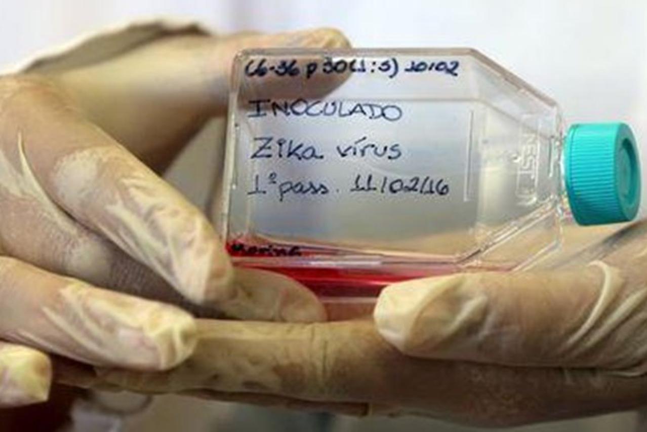 Zika