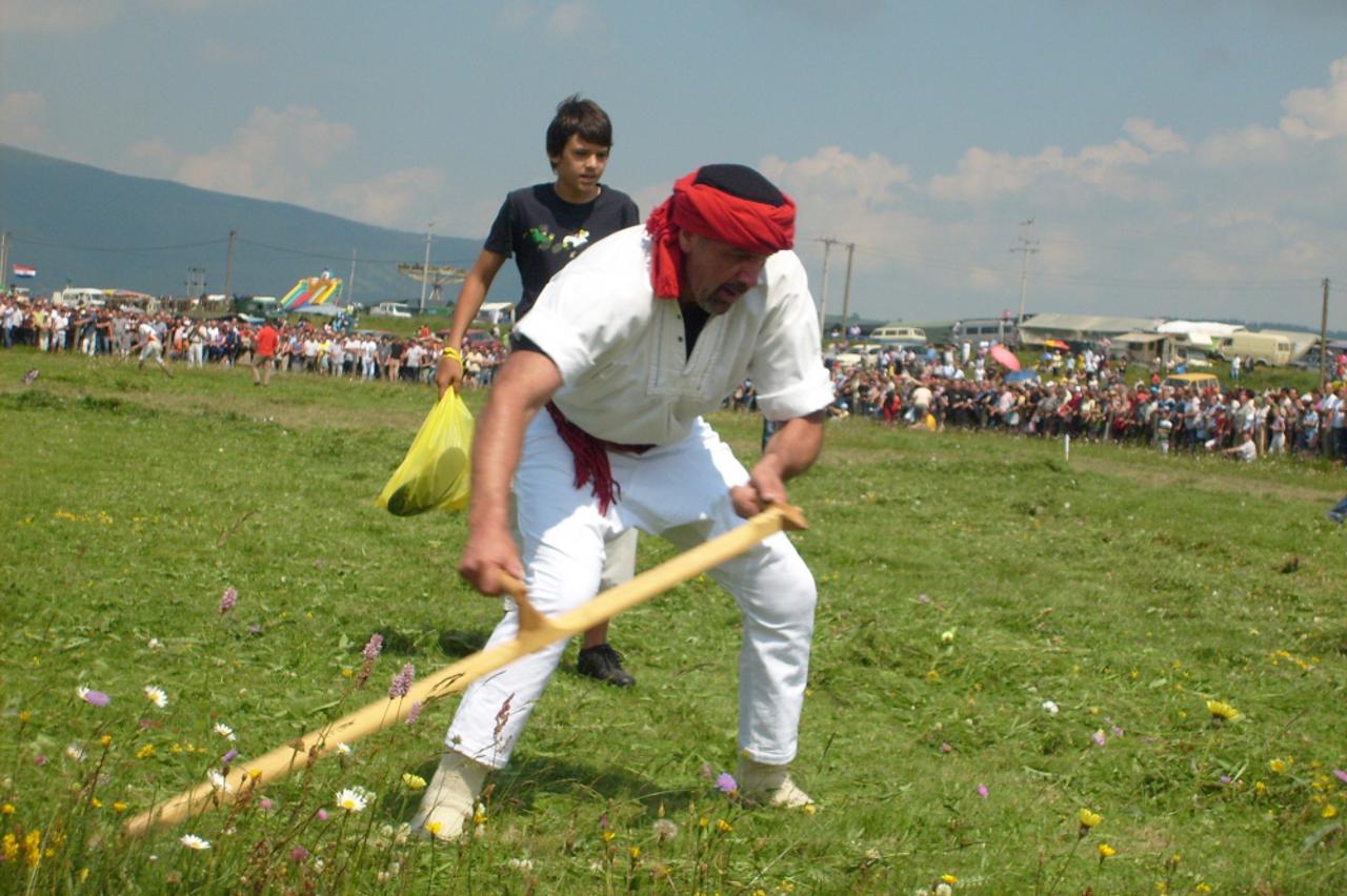 kosidba