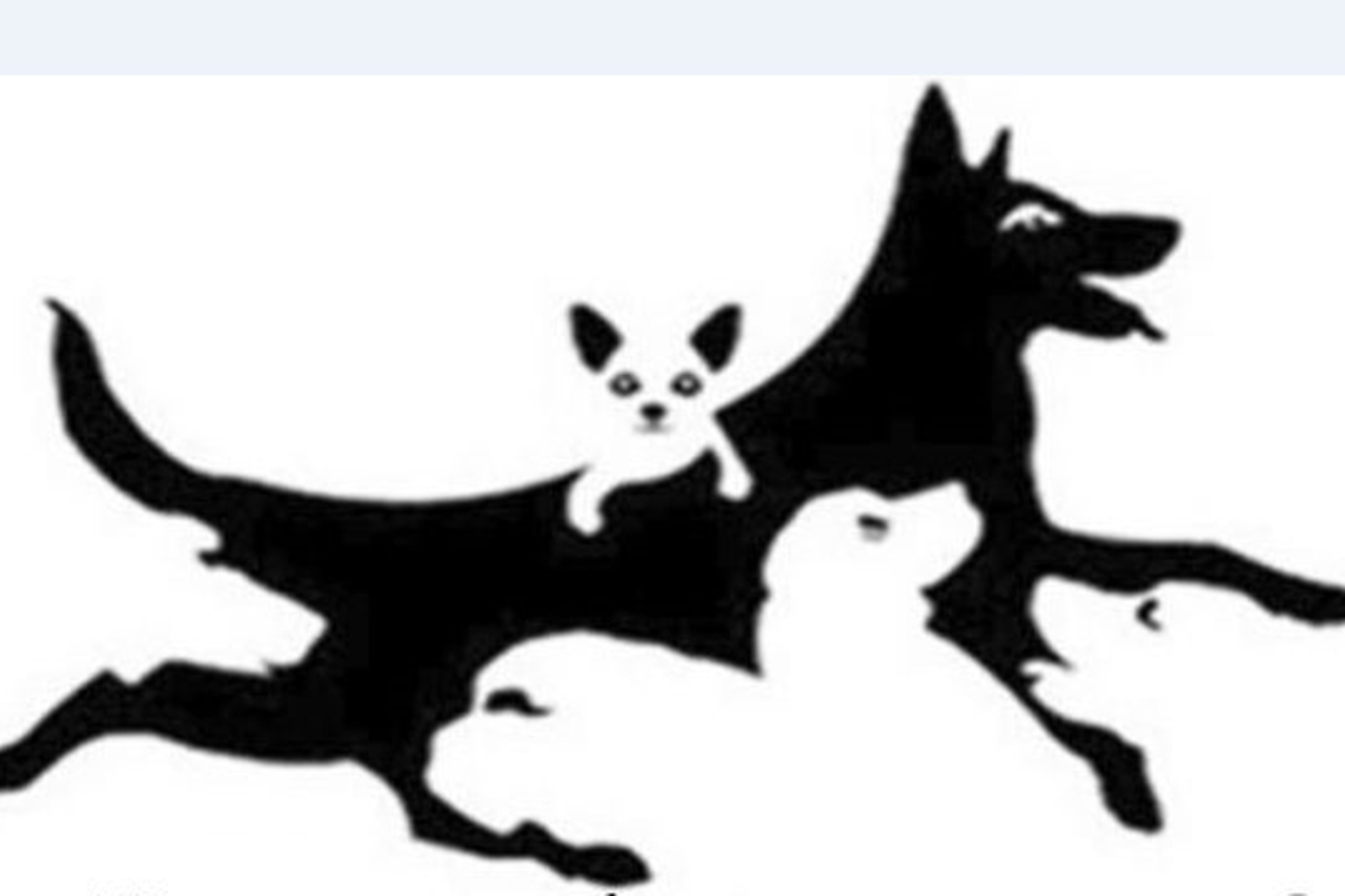 test s psima