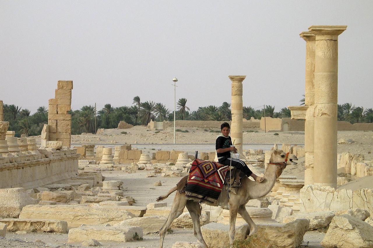 A boy rides a camel in the historical city of Palmyra, Syria, June 12, 2009. Satellite images have confirmed the destruction of the Temple of Bel, which was one of the best preserved Roman-era sites in the Syrian city of Palmyra, a United Nations agency s