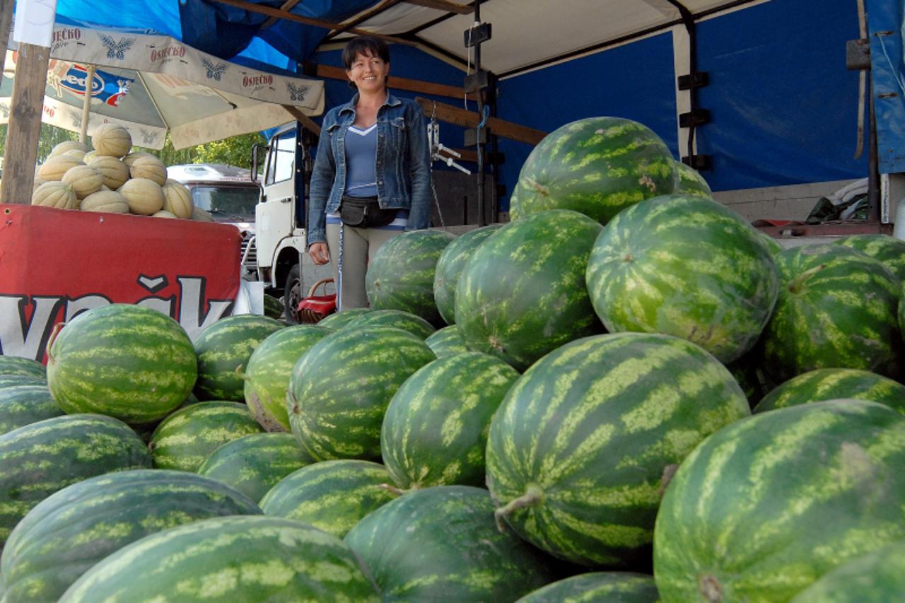 'Slavonija-Vinkovci-100810-Gordana Zivkovic iz Strizivojne-ove godina zbog obilnih kisa bila je vrlo losa za lubenice pa je urod jako slab Photo: Goran Ferbezar/PIXSELL'