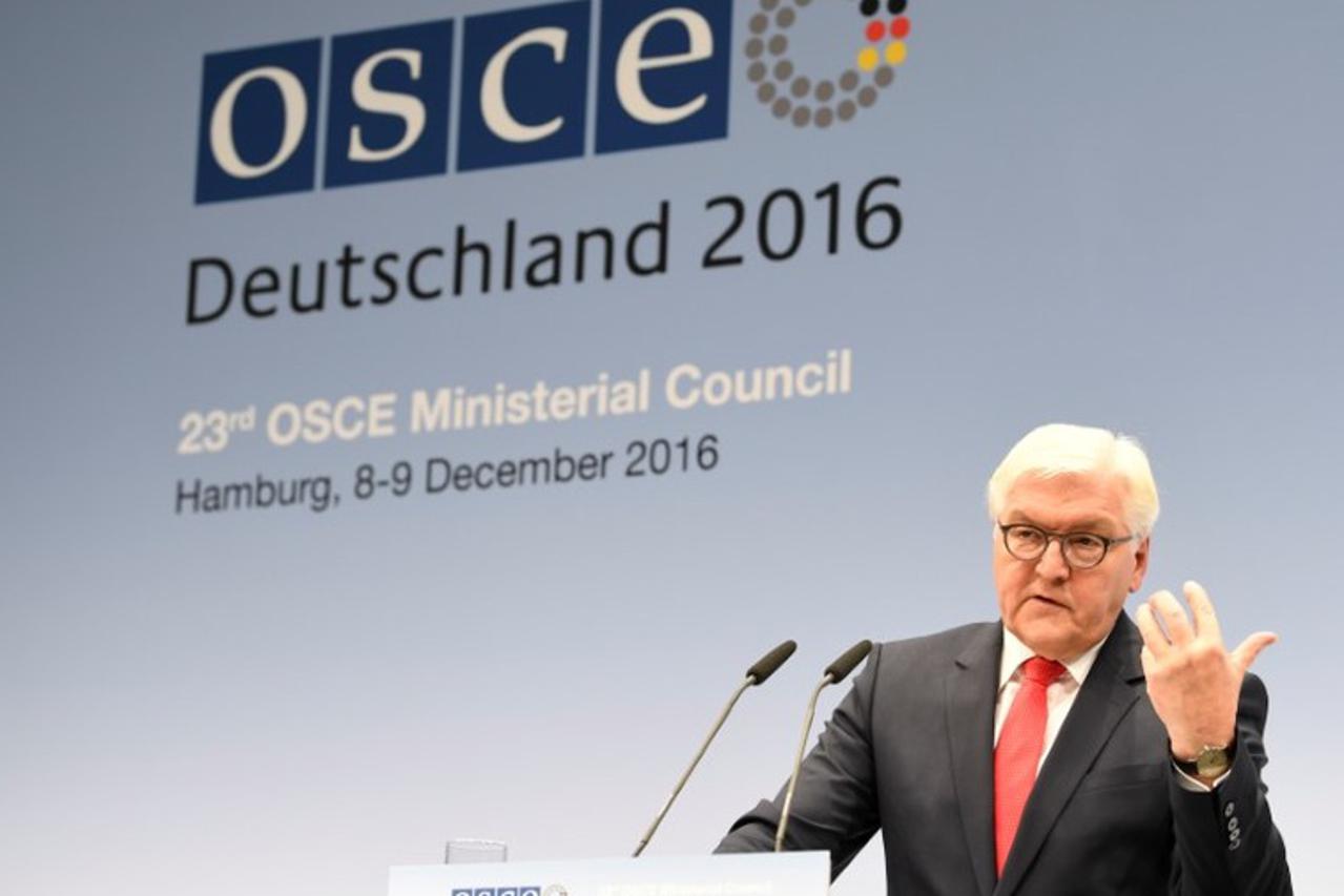 Frank-Walter Steinmeier 