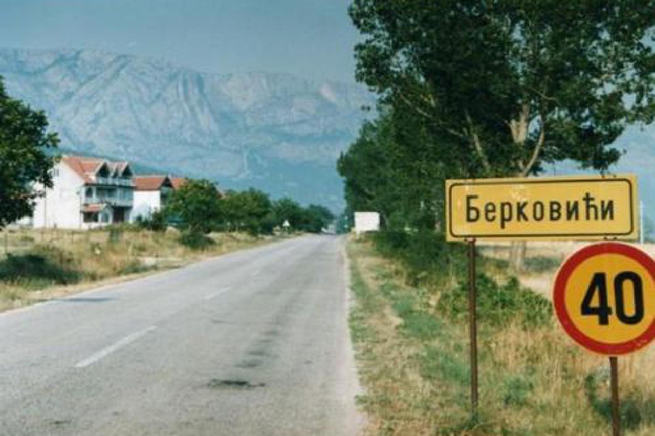 berkovici