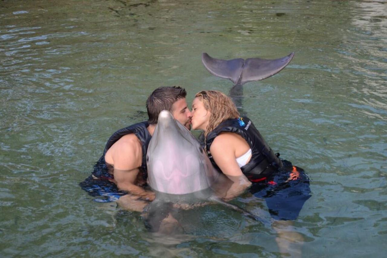 Shakira (1)