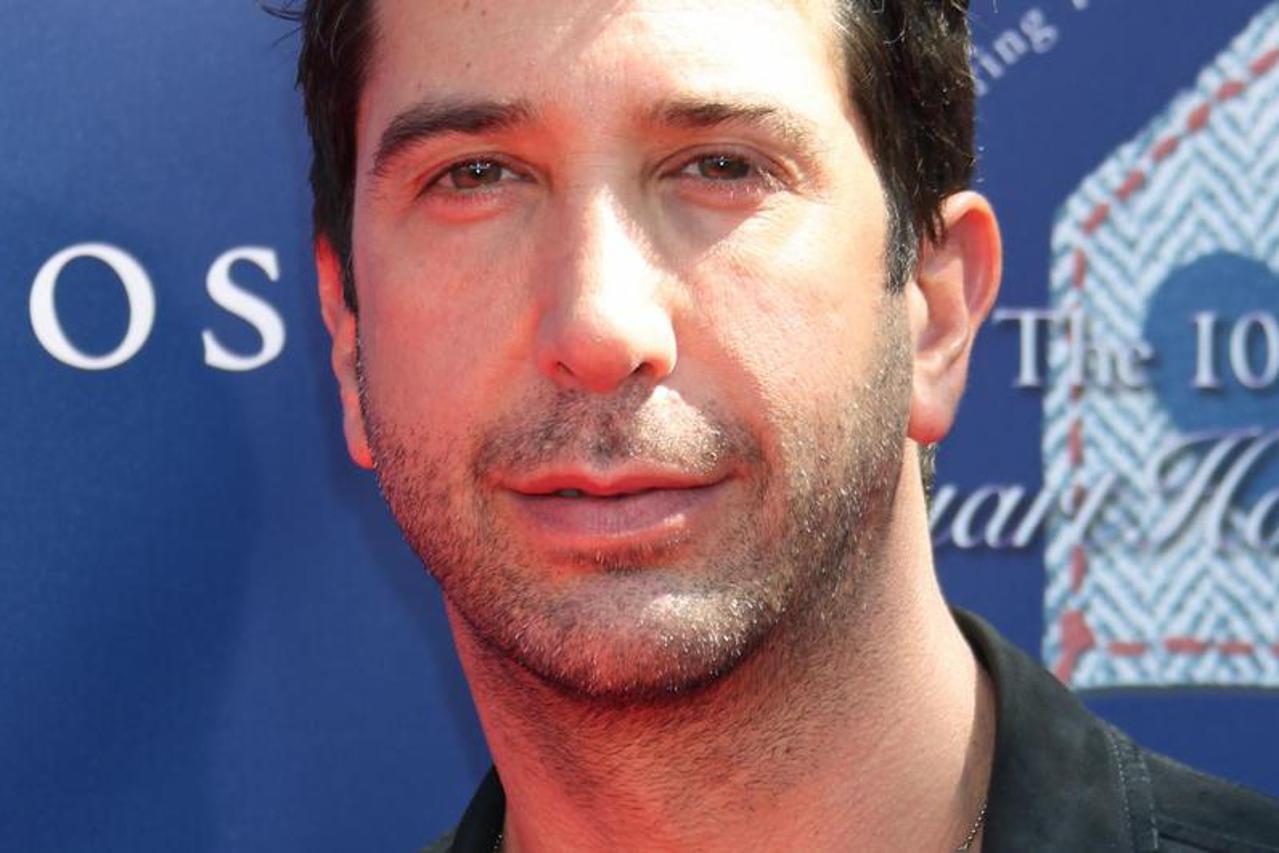 David Schwimmer